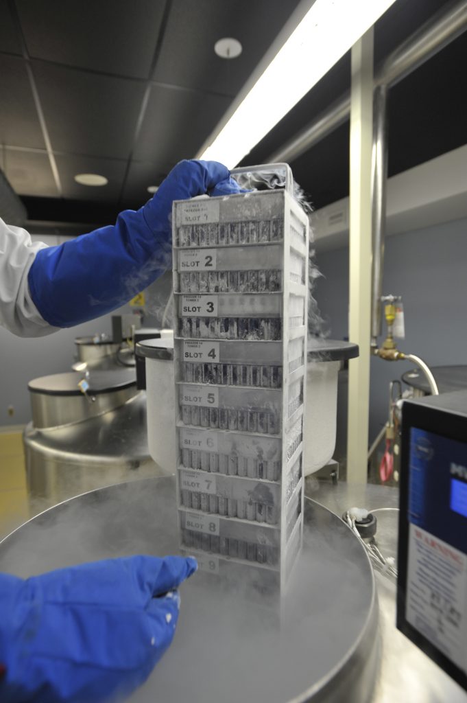 A rack of frozen blood products at the former OHS biosample processing site. Photo by JP Moczulski/CP Images.